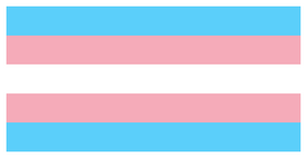 A stamp of the transgender flag.